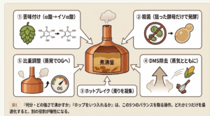 煮沸（ボイル）の基礎｜苦味・香り・クリアさ・比重を1工程で決める
