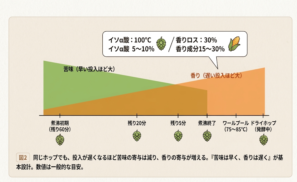 ホップの投入タイミングごとの効果（60分前は苦味、0分・ワールプール・ドライホップは香り）と、イソα酸が増える様子を示す図
