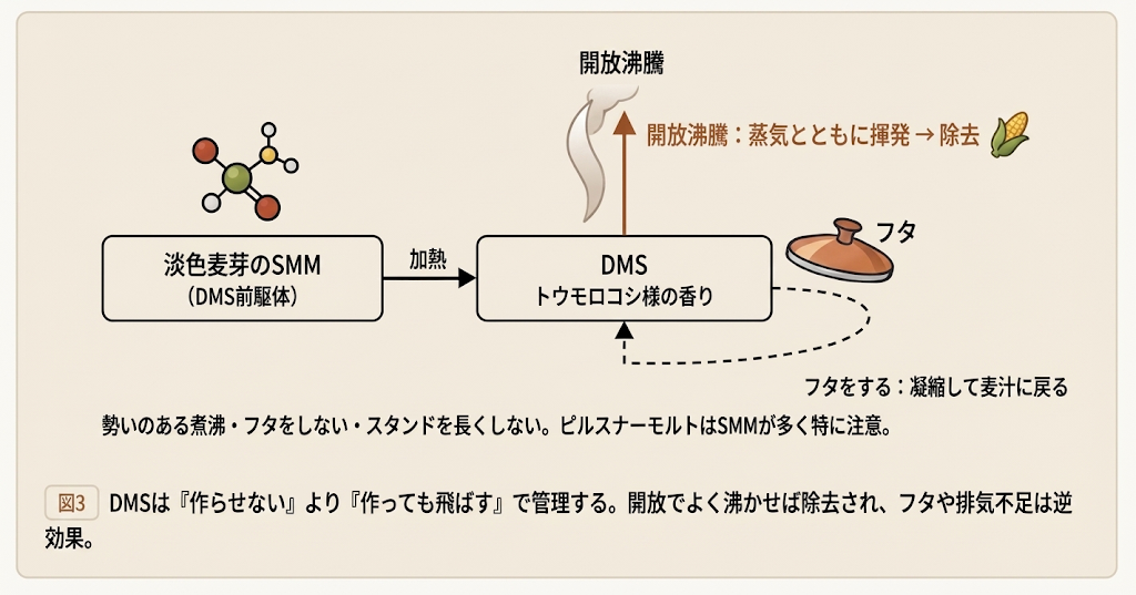 麦芽のSMMが加熱でDMSに変わり揮発する経路と、フタをすると蒸気が凝縮してDMSが麦汁に戻る様子を示す図