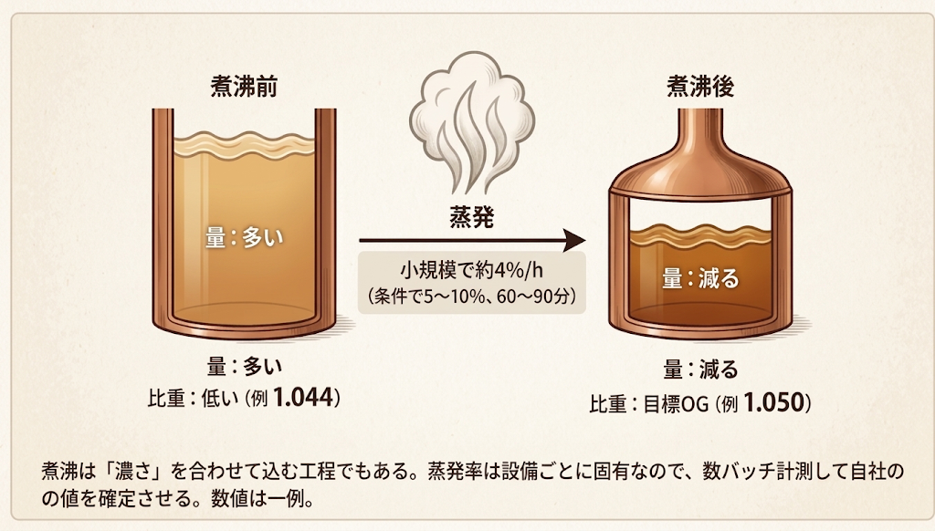 煮沸前後の比重と蒸発率を示す図。プレボイルOGから蒸発を経て目標OGへ